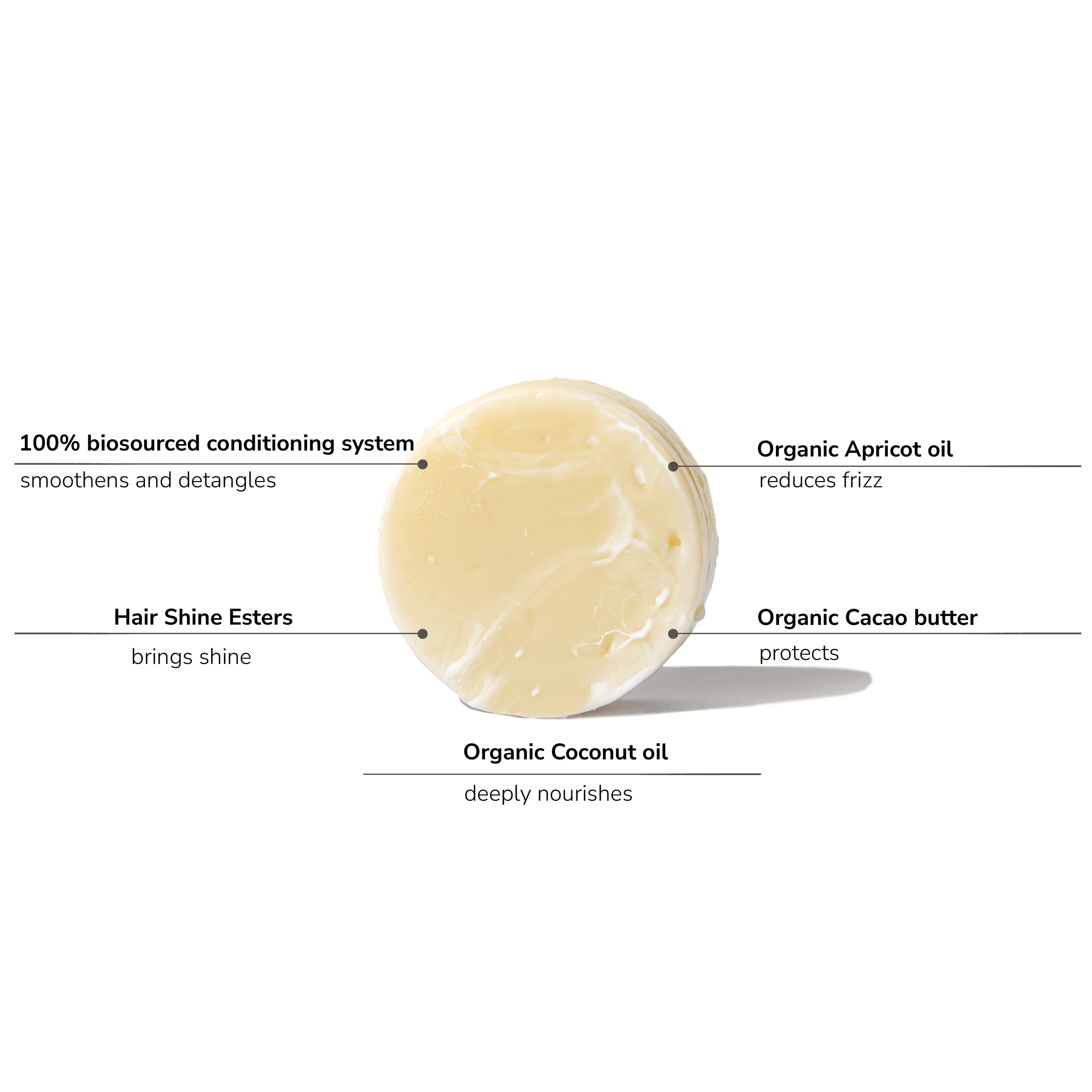 Solid conditioner bar with nourishing oils and biosourced conditioning system for smooth, frizz-free hair.