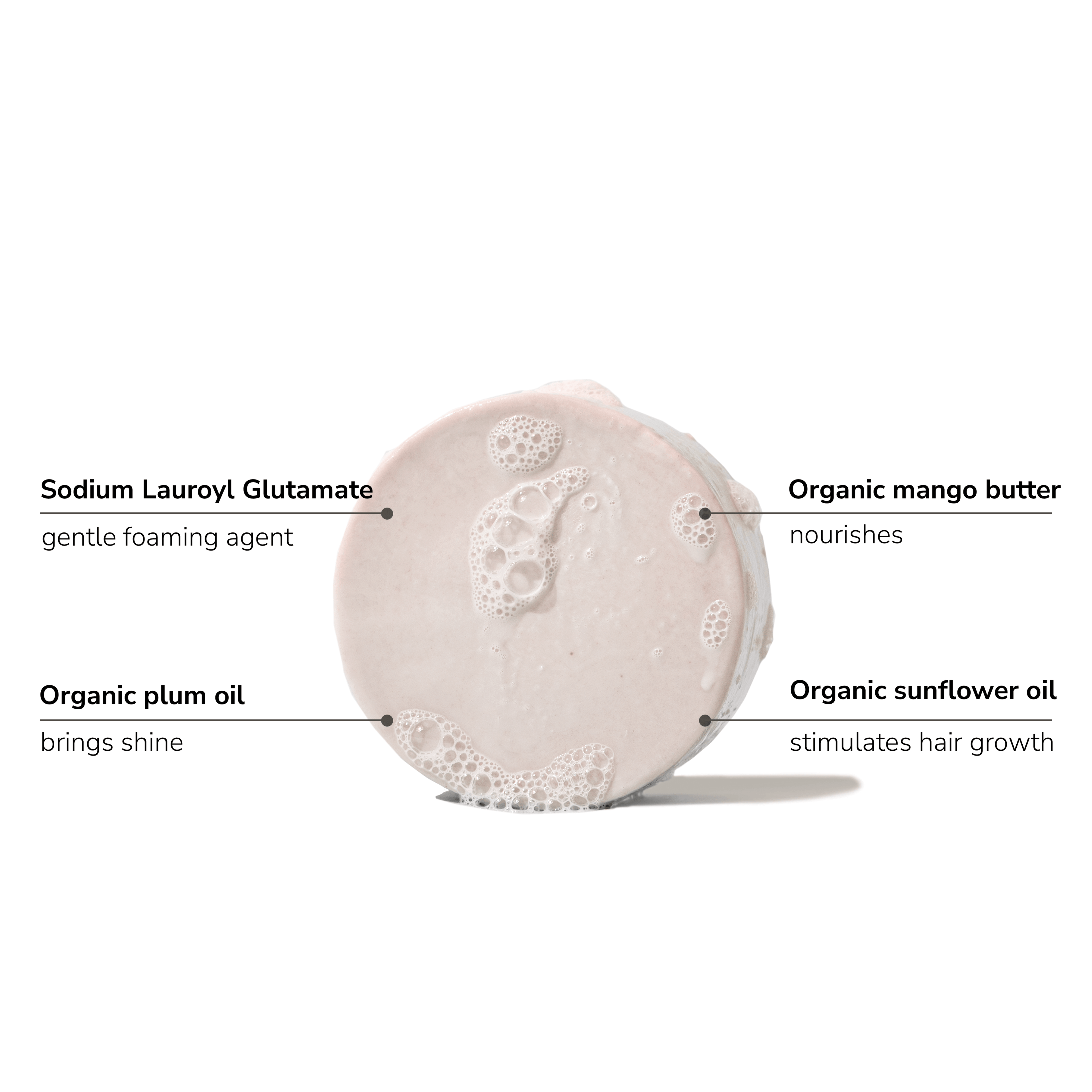 Solid shampoo bar highlighting key ingredients: Sodium Lauroyl Glutamate, mango butter, plum oil, sunflower oil.